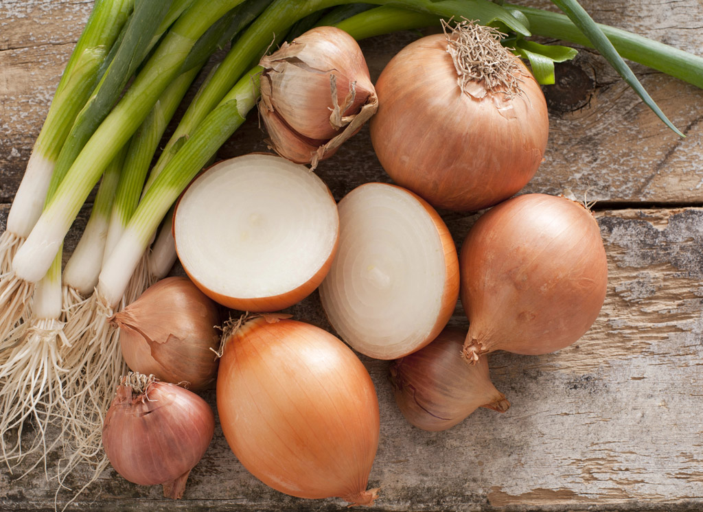 Plantuien, sjalotten en knoflook