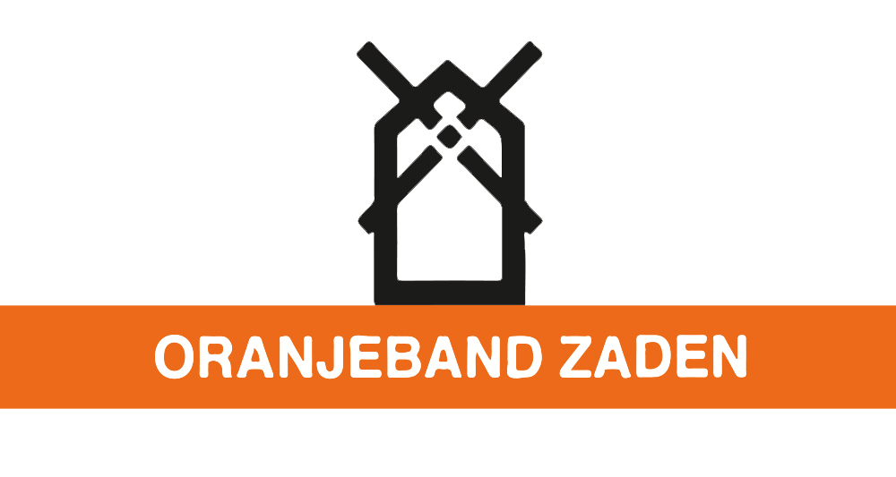 Oranjeband zaden